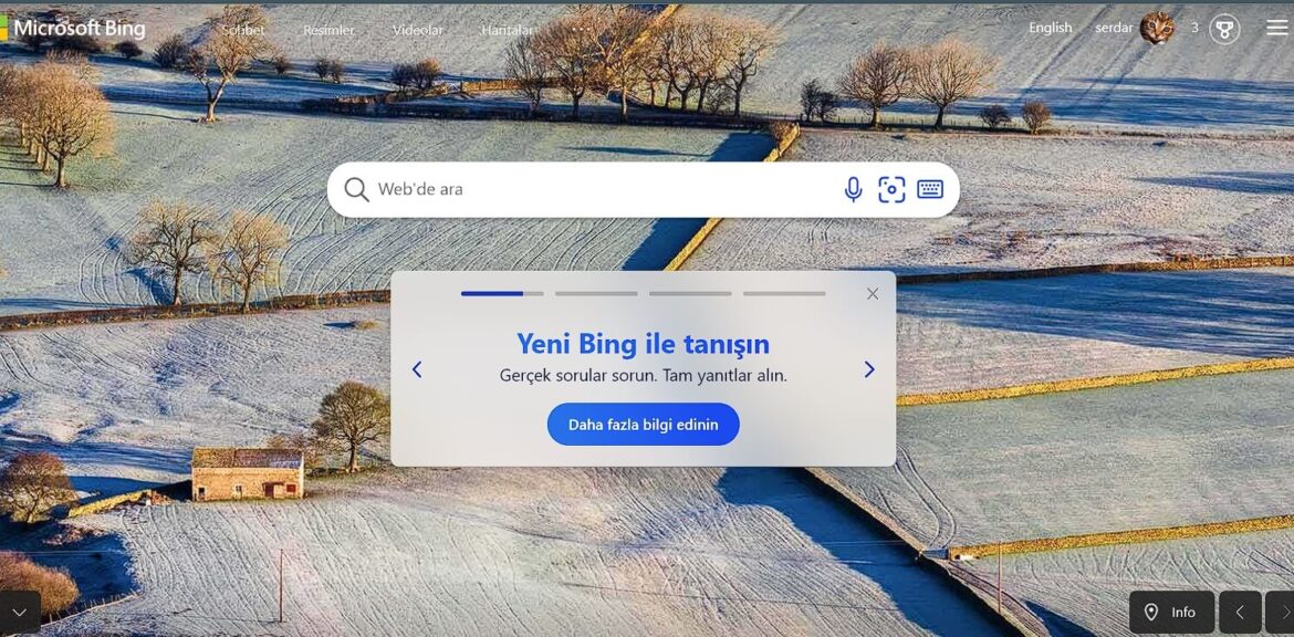 Bing AI